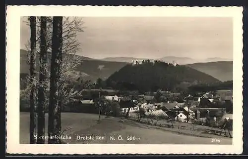 AK Dreistetten /N. Ö., Teilansicht mit Bergpanorama