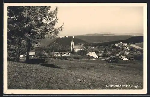 AK Dreistetten im Piestingtal, Ortsansicht von einer Wiese aus