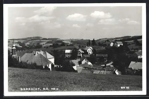 AK Gschaidt /N.-Ö., Ortsansicht von einem Hang aus