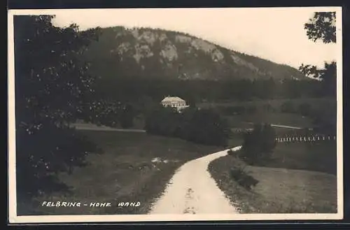 Foto-AK Felbring, einzeln stehendes Haus mit Hohe Wand