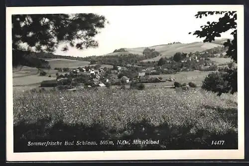 AK Bad Schönau /N.-Ö., Gesamtansicht mit Umgebung