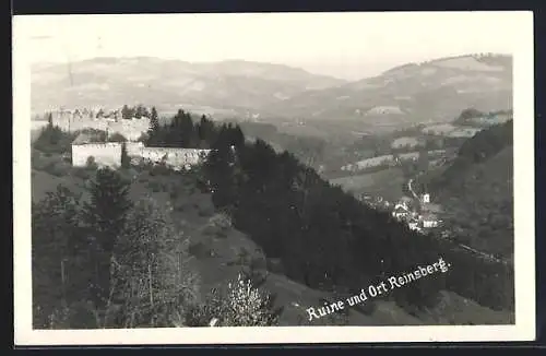AK Reinsberg, Blick über Ort und Ruine