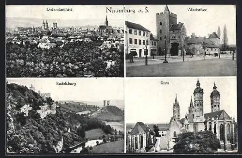 AK Naumburg / Saale, Dom, Marientor, Rudelsburg