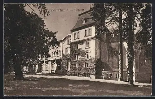 AK Friedrichsruh, Schloss