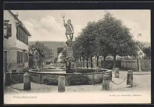 AK Freudenstadt, Ortspartie mit Neptun-Brunnen