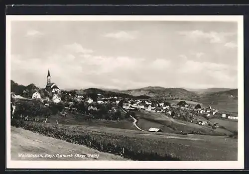 AK Waldkirchen /Bayr. Ostmark, Teilansicht mit Kirche