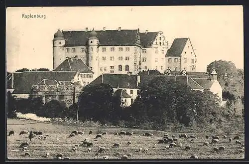 AK Kapfenburg, Schloss mit Schafen