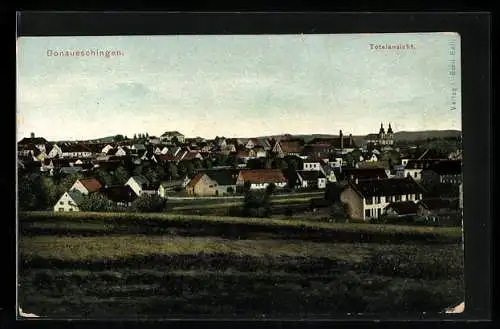 AK Donaueschingen, Totalansicht von einer Wiese aus