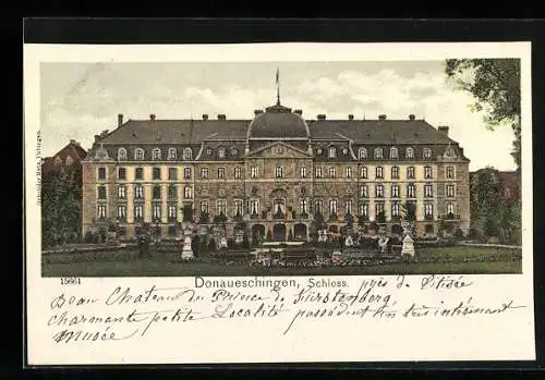 AK Donaueschingen, Schloss mit Anlage