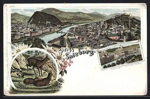 Lithographie Salzburg, Stadtbrücke mit elektrischem Aufzug, Bergziegen, Totalansicht mit Bergen