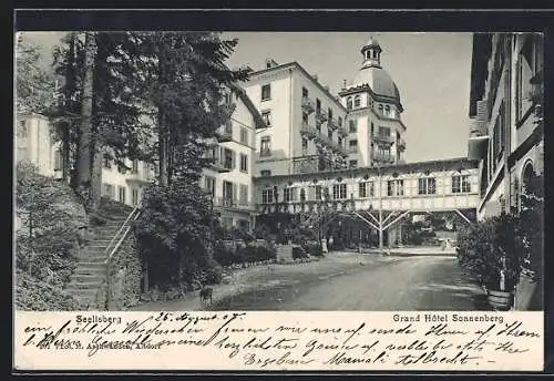 AK Seelisberg, Grand Hotel Sonnenberg