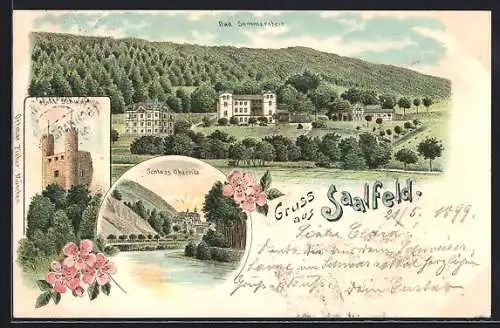 Lithographie Saalfeld / Saale, Hohe Schwarm, Schloss Obernitz, Bad Sommerstein