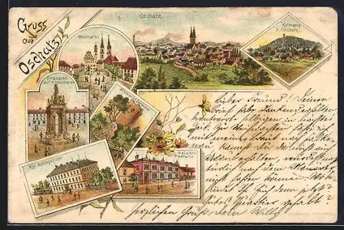 Lithographie Oschatz, Amtsgericht, Neumarkt, Brunnen, Kolmberg, Ortsansicht