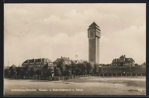 AK Holzweissig-Bitterfeld, Wasser- u. Elektrizitätswerk und Schule, Panorama