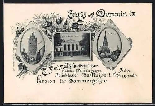 AK Demmin, C. Fründt`s Gesellschaftshaus in Laub- & Nadelwald, Tor, Kirche und Rathaus