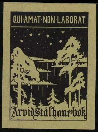 Exlibris Arvid Stälhane, Winterlandschaft mit Sternformation