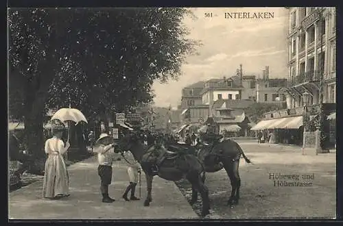 AK Interlaken, Partie am Höhenweg und der Höhenstrasse mit Pferden