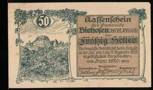 Notgeld Viehofen 1920, 50 Heller, Schlossansicht und Bäume