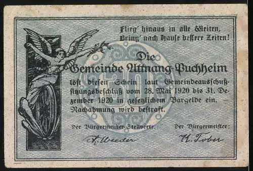 Notgeld Attnang-Puchheim 1920, 30 Heller, Burgenansicht und Engel mit Zweig
