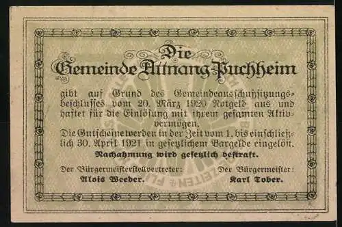 Notgeld Attnang-Puchheim 1920, 20 Heller, Ansichten von Gebäuden und Landschaft