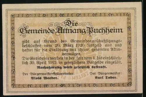 Notgeld Attnang-Puchheim 1920, 10 Heller, Ansichten der Gemeinde mit Gebäuden und Landschaft