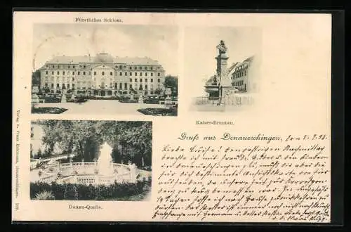 AK Donaueschingen, Fürstliches Schloss, Donau-Quelle, Kaiser-Brunnen