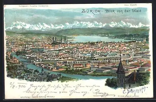 Künstler-AK C. Steinmann: Zürich, Blick von der Waid auf die Stadt