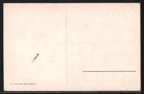 Künstler-AK Alfred Schönian: weisse Fasane im Gras