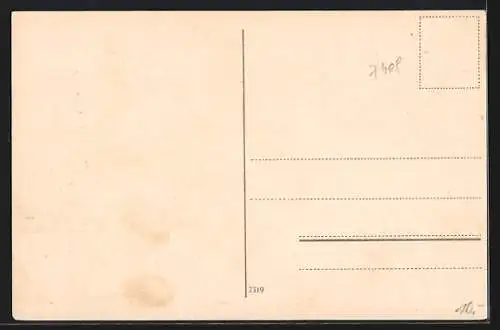 AK Schweiz, Schweizer Wappen, Briefmarken, Briefmarkensprache