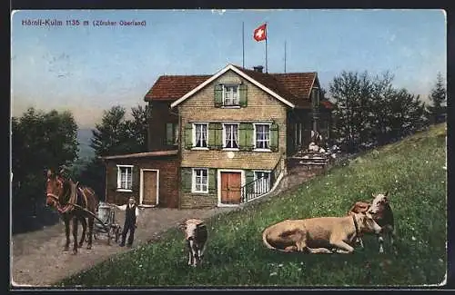 AK Hörnli-Kulm, Gasthaus, Kühe