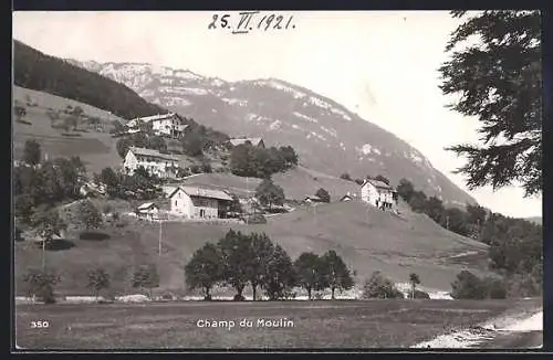 AK Champ-du-Moulin, Panorama