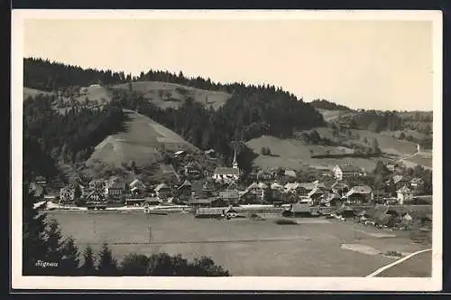 AK Signau, Ortsansicht mit Umgebung