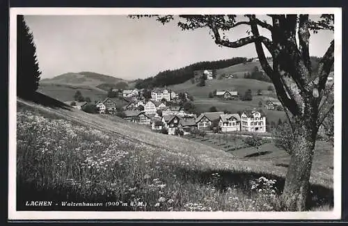 AK Lachen, Walzenhausen mit Umgebung