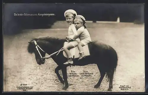 AK Prinz Wilhelm von Preussen und Prinz Louis Ferdinand von Preussen reiten auf einem Pony