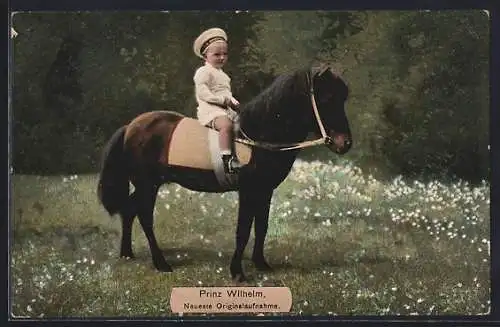 AK Prinz Wilhelm bei einem Spazierritt auf dem Pony sitzend