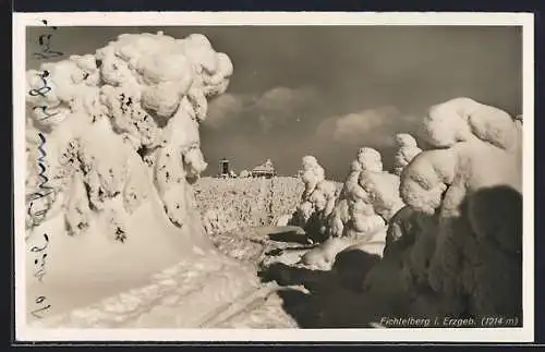 AK Fichtelberg i. Erzgeb., Verschneiter Wald