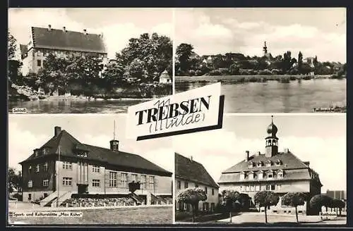 AK Trebsen, Schloss, Kurhaus Max Kühn und Rathaus