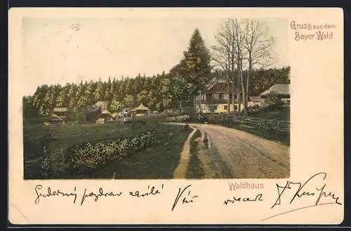 AK Waldhaus /Bayer. Wald, Ortsansicht mit Wald