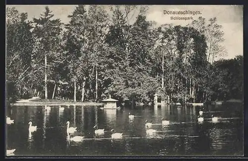 AK Donaueschingen, Schlosspark und Teich mit Schwänen