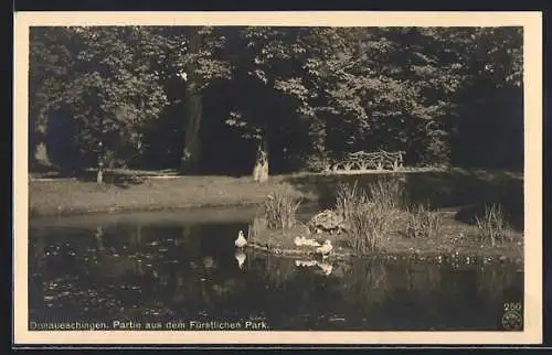 AK Donaueschingen, Partie aus dem fürstl. Park