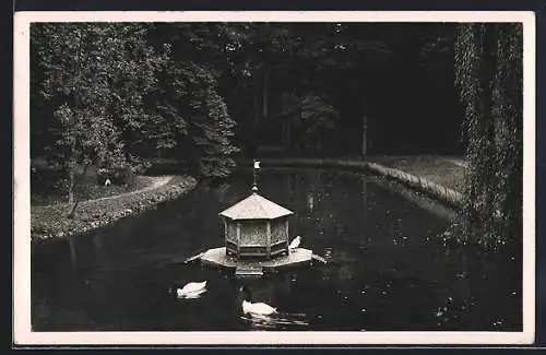 AK Donaueschingen, Teichpartie im Schlosspark