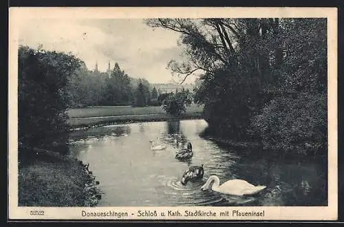 AK Donaueschingen, Schloss u. kath. Kirche mit Pfaueninsel