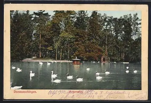 AK Donaueschingen, Schlosspark und Teich mit Schwänen