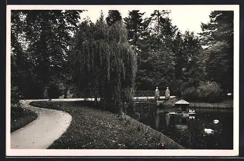 AK Donaueschingen, Teich im Schlosspark