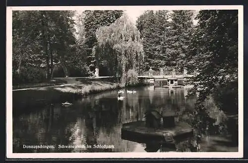 AK Donaueschingen, Schwanenteich im Schlosspark