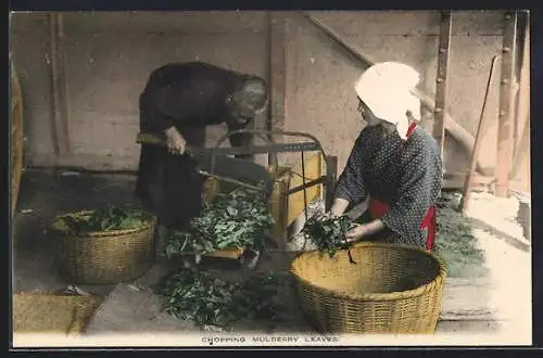 AK Silk Cultivation, Chopping Mulberry Leaves