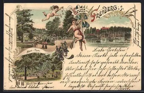 Lithographie Freiberg / Sachsen, Kreuzteich m. Schwanenschlösschen & Albert-Park