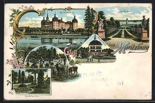 Lithographie Moritzburg / Sachsen, Königliches Jagdschloss mit Hofgarten, Leuchtthurm