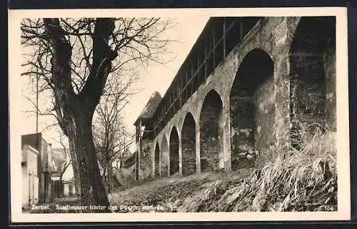 AK Zerbst, Stadtmauer hinter der Postpromenade