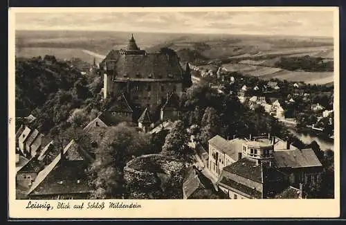 AK Leisnig, Blick auf Schloss Mildenstein